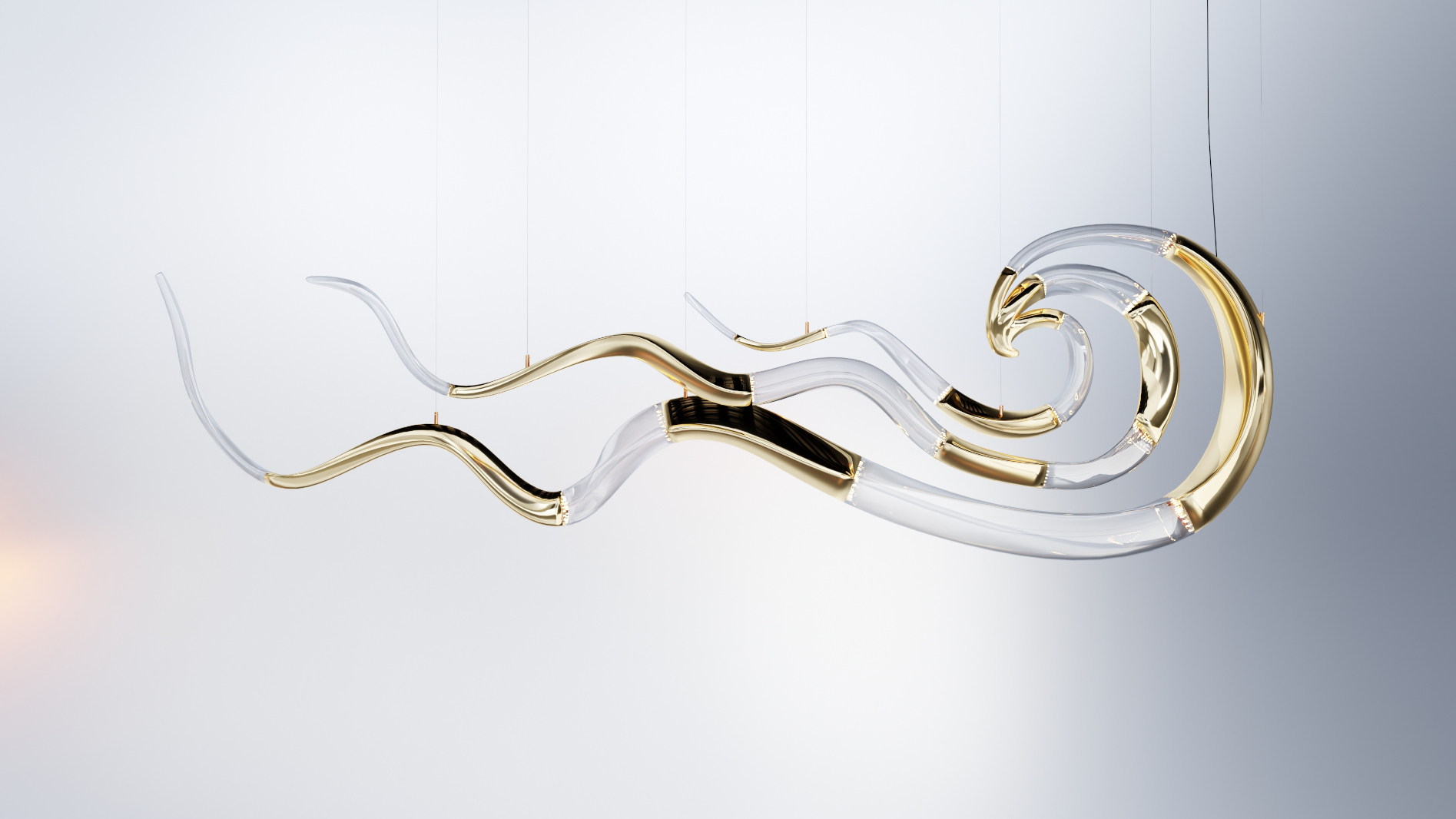 Collection - Ammonite Chandelier