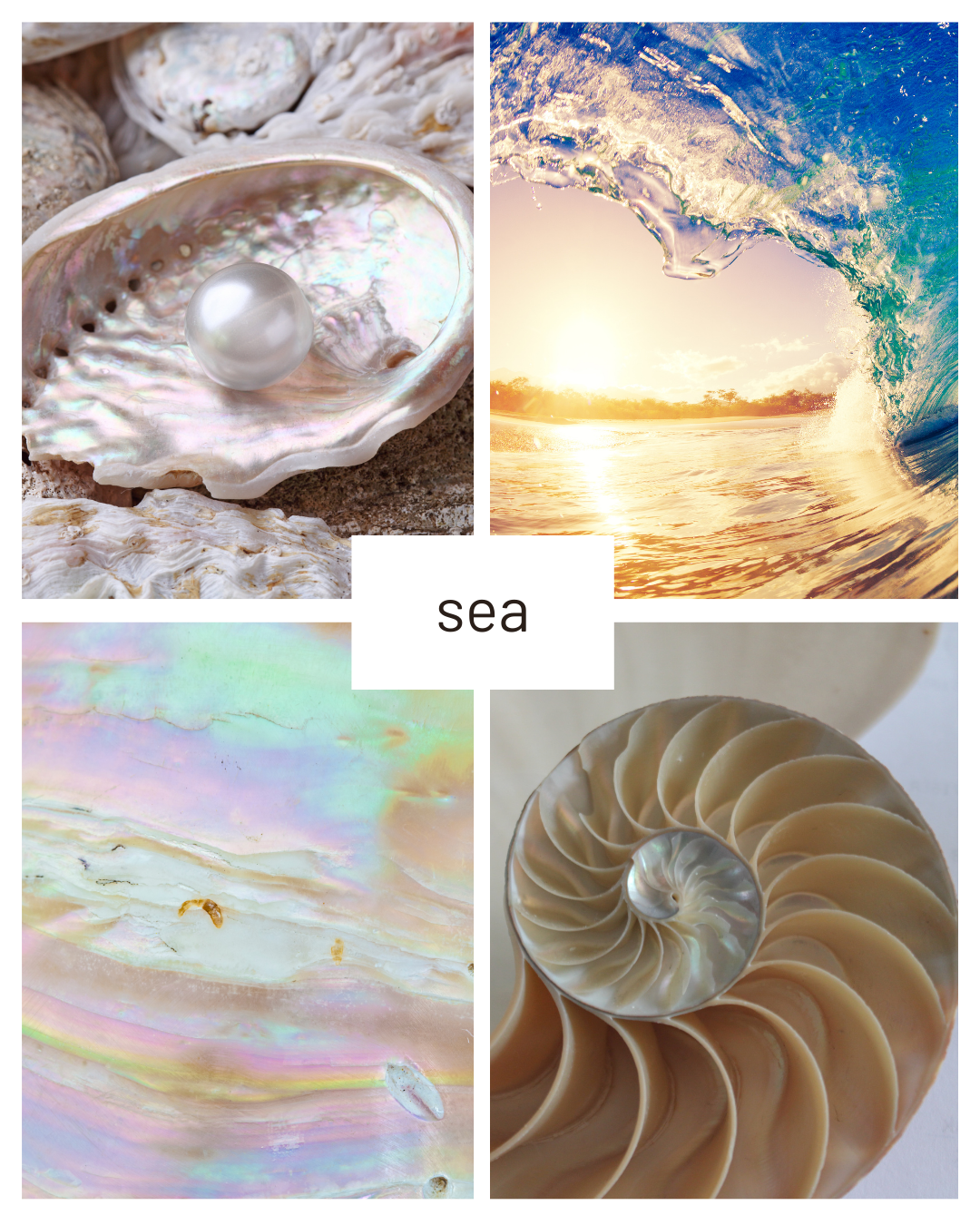 GAEA - Inspired by Sea